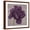 Brown Frame, variant on Art.com Black Plum 1 Stretched Canvas Print Wall Art by Ariane Martine, 24" x 24"