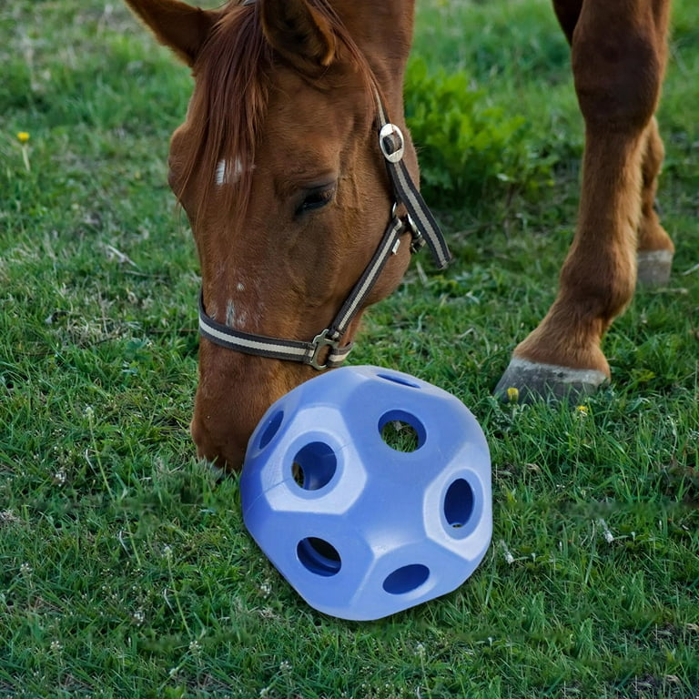 Slow Feed Hay Ball Horse Feeder Toys