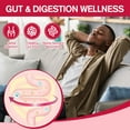thumbnail image 5 of Totaria 9-in-1 Probiotic Fiber Gummies for Adults & Teens for Digestive, Gut & Immune Wellness - 60 Gummies, 5 of 9