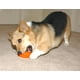 thumbnail image 3 of Juguete Masticable Starmark Everlasting Treat Bento Ball para Perros Pequeños, 3 of 3