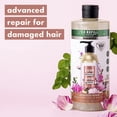thumbnail image 7 of Love Beauty Planet Shampoo and Conditioner, Advanced Repair, Moringa Oil, Pro-Vitamin B5, Peony - Sulfate-Free Shampoo & Conditioner for Damaged, Dry Hair, Scented, Refill, 22 Oz 2 Piece Set, 7 of 7