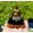 3, variant on MATROOY 6CM Amethyst Crystal Sphere Orgonite Pyramid Obsidian Chakra Energy Orgone Stone-9