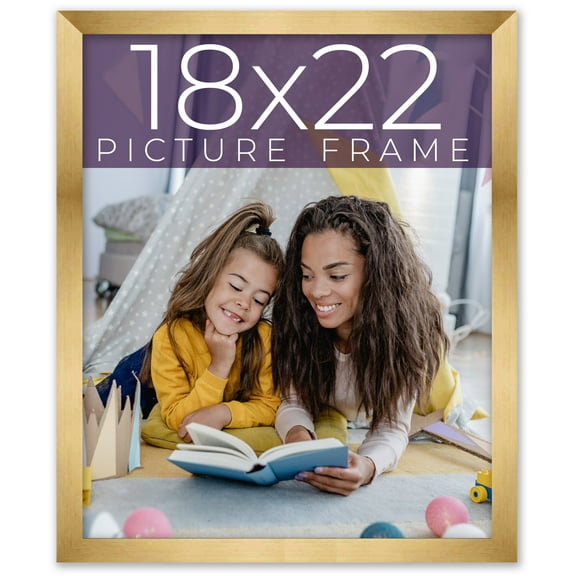18x22 Frame Gold Bronze Solid Wood Picture Frame Width 0.75 Inches | Interior Frame Depth 0.5