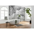 thumbnail image 2 of Wildest Water Wall Mural, 2 of 2