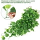 thumbnail image 4 of Paquete de plantas colgantes de imitación pared de hiedra falsa hogar porche jardín corona de boda decoración colgante al aire libre (sin cesta) Ormromra CZJJ-HQ83, 4 of 7