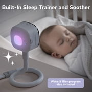 Hubble Gobaby AI Pro Twin