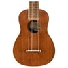 Fender Seaside Ukulele Pack