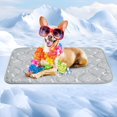 thumbnail image 1 of Tapete Frio para Perros/Gatos, 75*50CM Ultra Grueso Tapete Refrescante para Perro, 4D tapete Fresco para Perro con Tecnología Reduce 3-5°C, Antideslizante y Lavable en Lavadora,Gris, 1 of 9