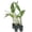4 Plants, variant on Traveler's Palm - Live Plant in a 4 Inch Growers Pot - Ravenala Madagascariensis - Rare Ornamental Palms of Florida