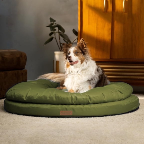 ClevaHome Orthopedic Pet Bed for Large Dogs: This mattress features a waterproof, washable surface, along with a waterproof inner liner and a non-slip bottom. Available in 36"x36"x7", green