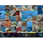 Hidden Collection: A Hidden Object Adventure