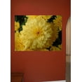 thumbnail image 2 of Clark Chrysanthemum Wall Decal, 2 of 2