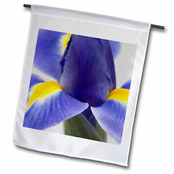 3dRose, Purple iris flower - NA01 JWI0011 - Jamie and Judy Wild, 12 x 18 inch Garden Flag