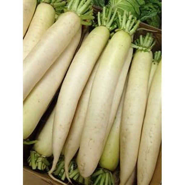 Daikon Radish Seed Food Plot 5 Lbs Walmart Com Walmart Com Daikon Radish Seed Food Plot 5 Lbs Walmart Com Walmart Com