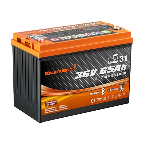 Batería Enjoybot de litio LiFePO4 de 36 V y 65 Ah con Bluetooth