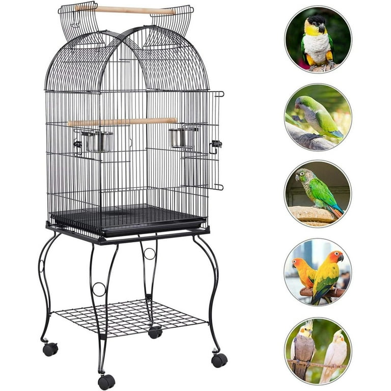 Cockatiel cage 2025 with stand
