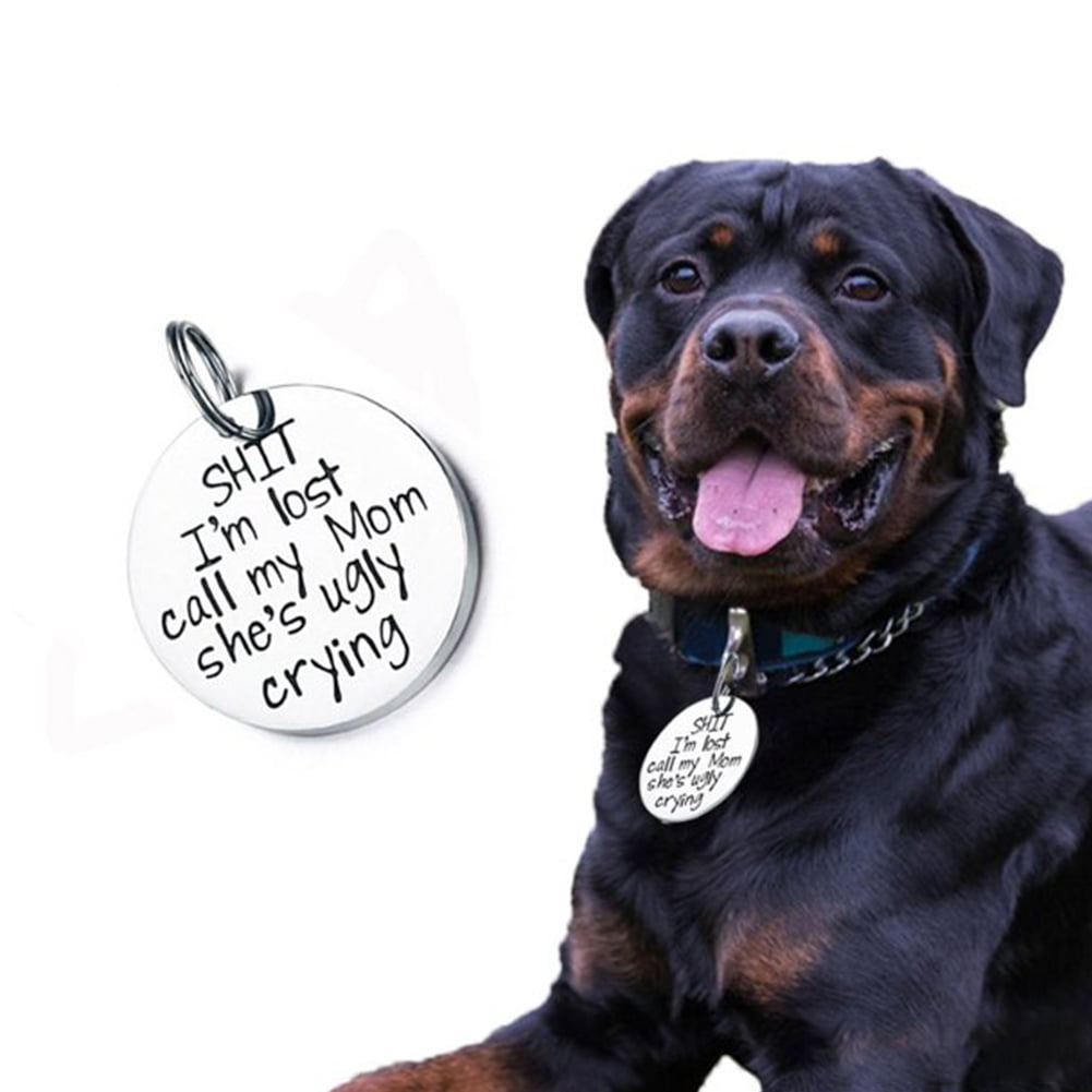 Breaking Hearts Blasting Farts Custom Pet Tag Wag-A-Tude Tags Funny Pet Tag for Dogs