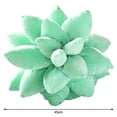 thumbnail image 5 of Suculentas Cactus Throw Novedad Cojín Suave Decoración para Juguete 45cm+Suculentas Cactus Throw Novedad Co Gloria Almohada de cactus suculentas, 5 of 5
