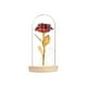 thumbnail image 1 of Eternal Rose Flower Rose Glass Dome Lámpara Led Decoración Para El Hogar Boda Navidad Día De San Valentín Cateissary HA027172-04, 1 of 5