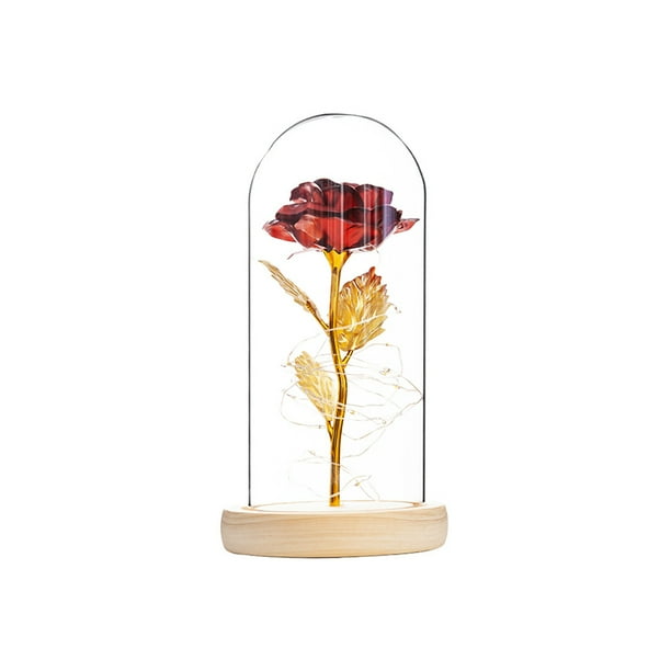 Eternal Rose Flower Rose Glass Dome Lámpara Led Decoración Para El Hogar Boda Navidad Día De San Valentín Methold HA027172-04