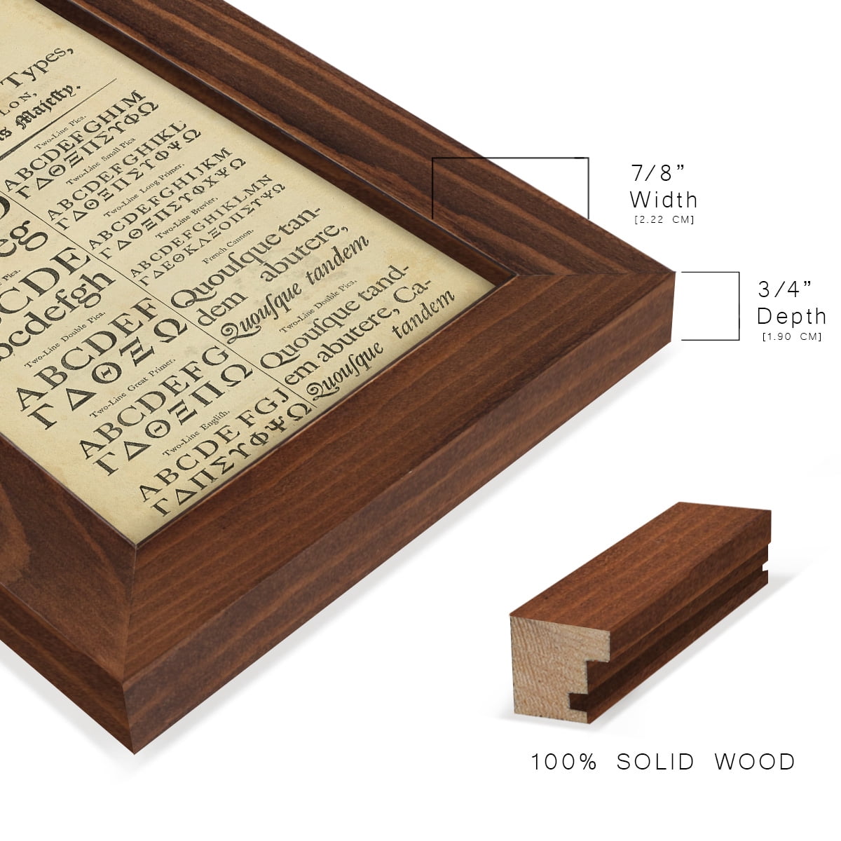Encyclopediae VI -Framed Print w/glass-Chestnut