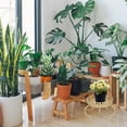 thumbnail image 4 of unbranded Soporte De Plantas De Hierro Dorado Para Interiores Y Exteriores Con Sencillo, 4 of 8