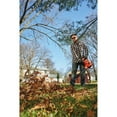 thumbnail image 3 of SOUFFLEUR VACPACK B+D, 3 of 4