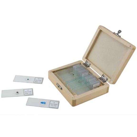 Prepared Microscope Slides (25 Piece Set) Microscope Accessory