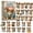 Advent Calendar-H, variant on 24 Days Christmas Dog Surprises Puppy Pendant Advent Calendar 2026, Get One 2D Puppy Pendant Decor Every Day, Xmas Countdown Calendar Blind Box, Christmas Gifts, Christmas Decorations for Tree
