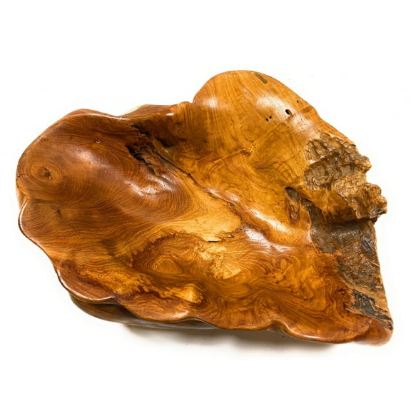 Gorgeous Teak Root Shell Bowl 19" X 14" X 6" - Centerpiece | #cin01a