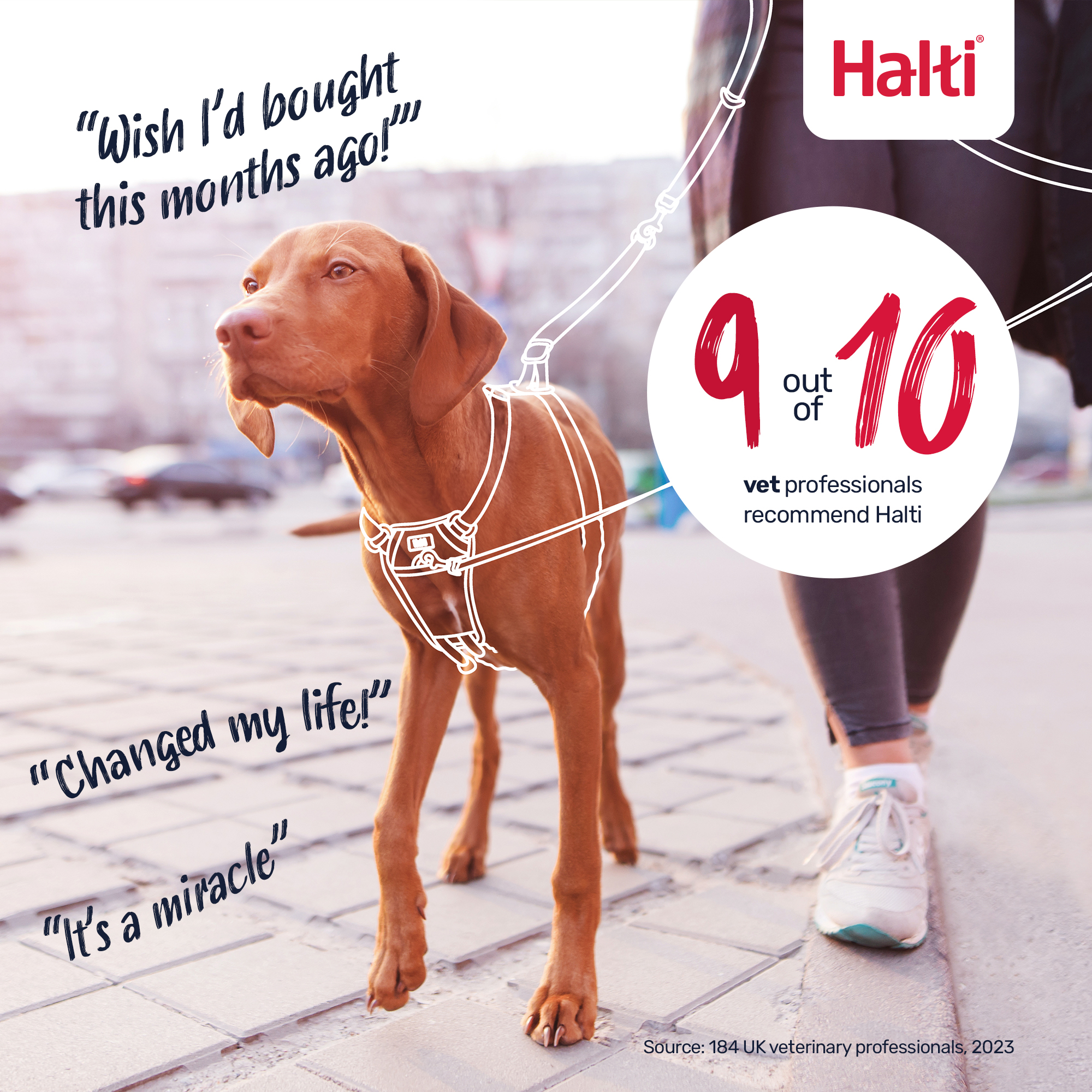Halti No Pull Harness Medium Black photo 6