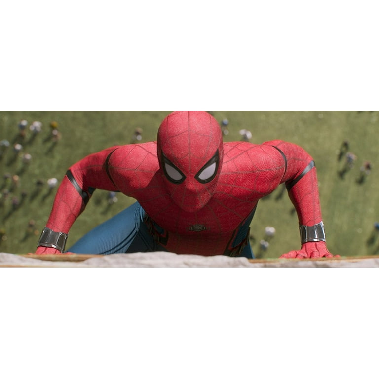 Spider-Man: Homecoming (DVD) 