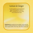 thumbnail image 3 of Twinings Tea K-Cups, Lemon & Ginger Tea - Wellness Tea, Naturally Caffeine-Free Herbal Tea K-Cups For Keurig, 12 Count - Pack of 2, 3 of 5