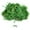 C, variant on Artificial Moss, Fake Moss for Crafts, Decorative Centerpieces, Fairy Garden, Wedding Party Decor, Faux Potted Plants, 20Gr (Fresh Green)Harlik