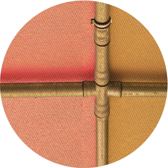 Ahgly Company Tapis Rond Lavable en Machine Intérieur Rouge Pamplemousse Transitionnel, 6 Pieds Rond