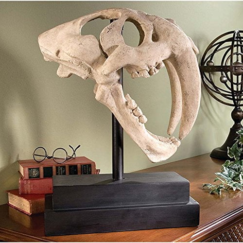 Park Avenue Collection Saber Tooth Tiger Skull Walmart Com Walmart Com