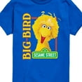 thumbnail image 3 of Sesame Street - Big Bird Photo - Toddler and Youth Short Sleeve Graphic T-Shirt, 3 of 5