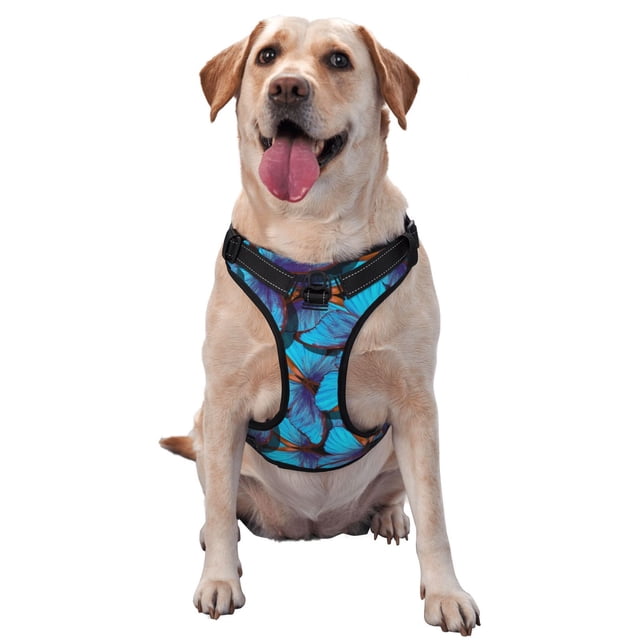 Balery Blue Butterflies Arnés para Perros Grandes Antitirones, Arnés con Correa para Gato, Arnés Tipo Chaleco para Perros Pequeños-Medium