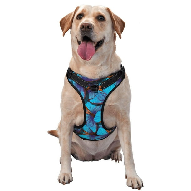 Fotbe Blue Butterflies Arnés para Perro con Estampado –Chaleco Ajustable Acolchado con Asa de Control para Perros Grandes-Small