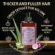 thumbnail image 3 of Pisexur Belleza Maquillaje Champú hidrosol Onions para un cabello más denso y abundante para mujeres y hombres (300 ml)para mujeres y hombres, 3 of 5