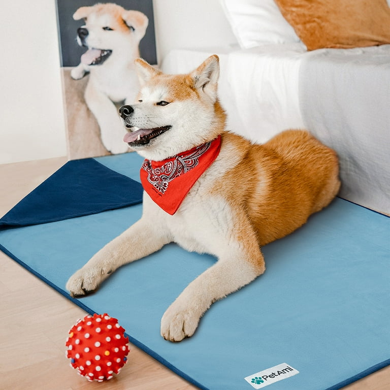 Covering dog crate with blanket outlet