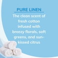 thumbnail image 3 of Ambientador Citrus Magic Pure Linen, 240 ml (8 oz), paquete de 3, 3 of 8