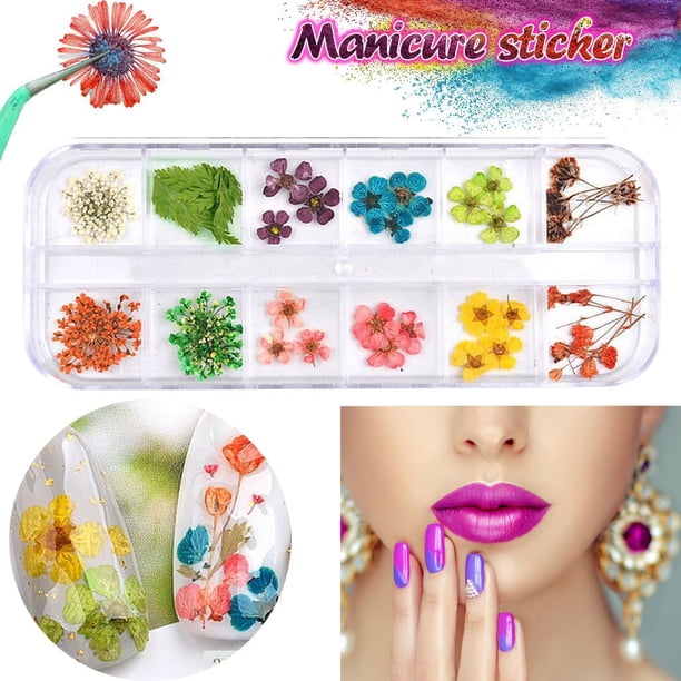 Accesorios para decoración de uñas, 12 colores, flores secas reales para uñas acrílicas en gel.
