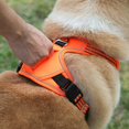 thumbnail image 2 of Arnés para chaleco para perro gatos Sunnimix Arnés para mascotas, 2 of 5