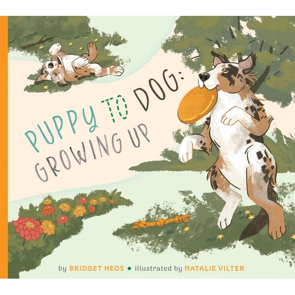 Puppy to Dog: Growing Up, (Paperback)