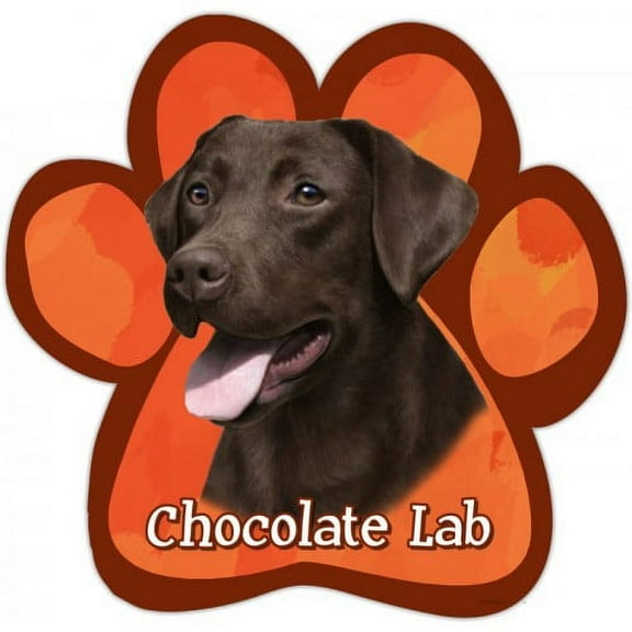 Chocolate Labrador Paw Print Magnet