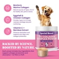 thumbnail image 2 of Premium 5X Collagen Powder for Dogs - Types I, II, III, V & X - Skin, Join, Gut & Coat Support - Collagen Powder with Bamboo & Vitamin C, 180 Scoops 4.28 oz, 2 of 9