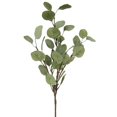 thumbnail image 1 of Silver Dollar Eucalyptus Branch Faux Plants & Trees, 1 of 1