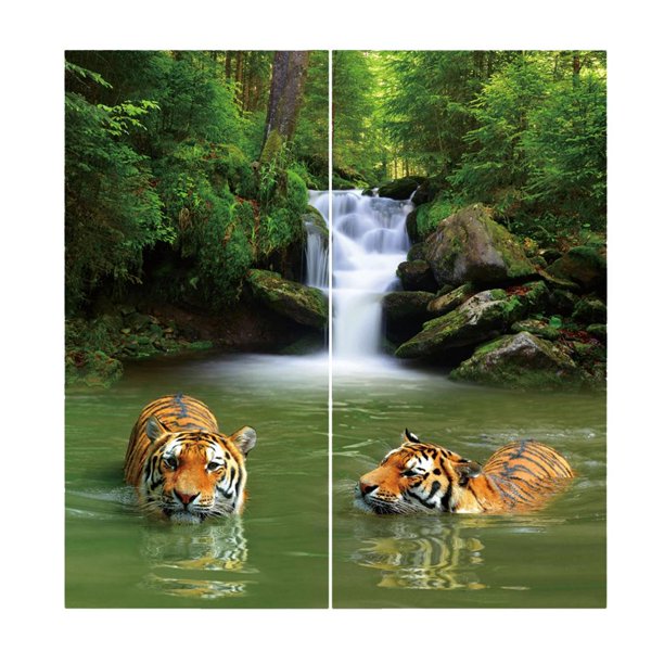 2 cortinas opacas con decoración de animales para adolescentes y niños - como se describe Tigre