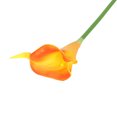 thumbnail image 1 of kurtrusly 24 Pieces artificial Flower Cute Solid Color Decorative Simulation Wedding Party Bar Artificial Flowers Branch Plant Orange, 1 of 9